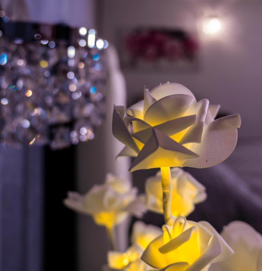 Bed and Breakfast Le Rose Nettuno Exterior foto
