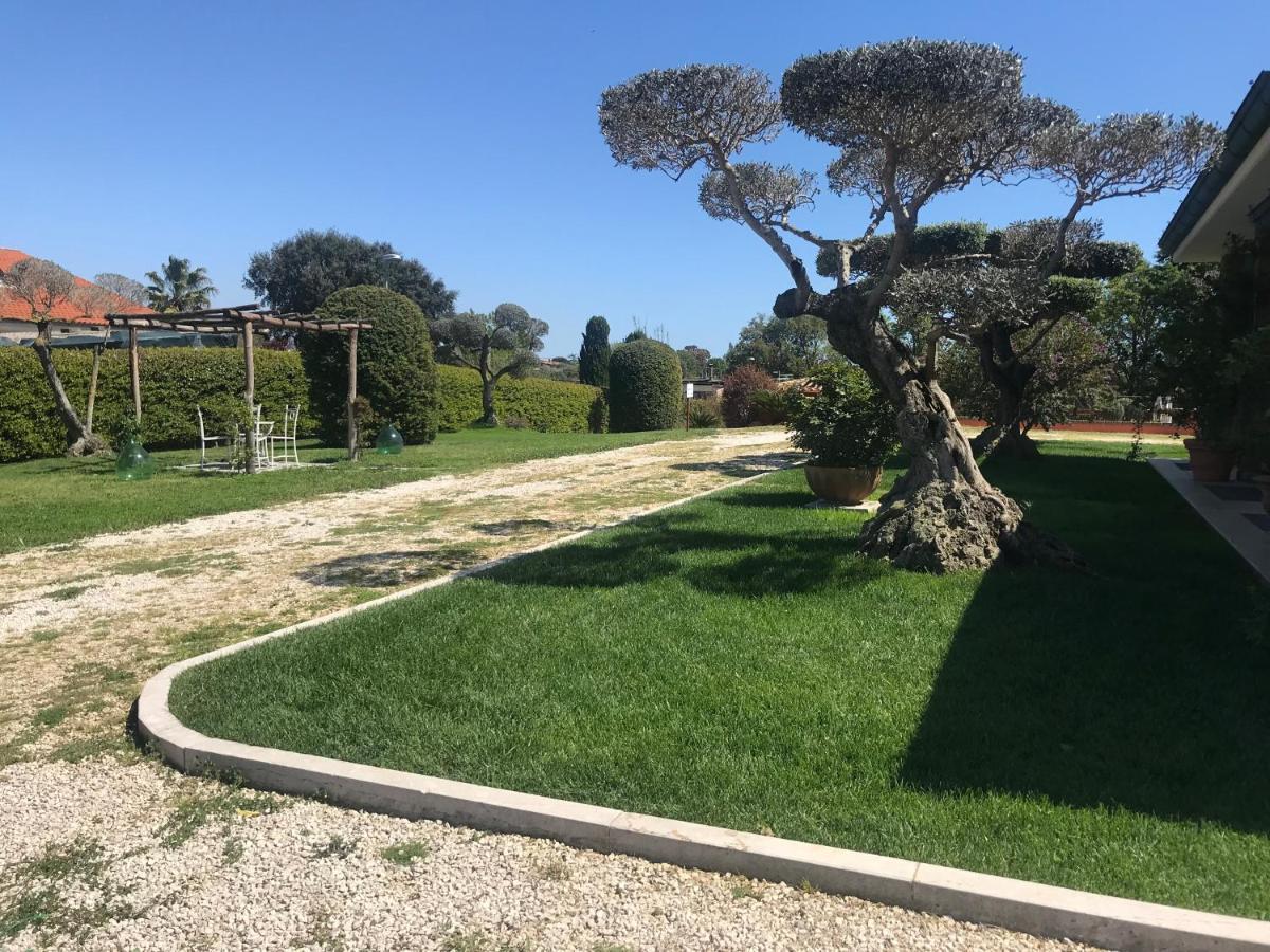Bed and Breakfast Le Rose Nettuno Exterior foto